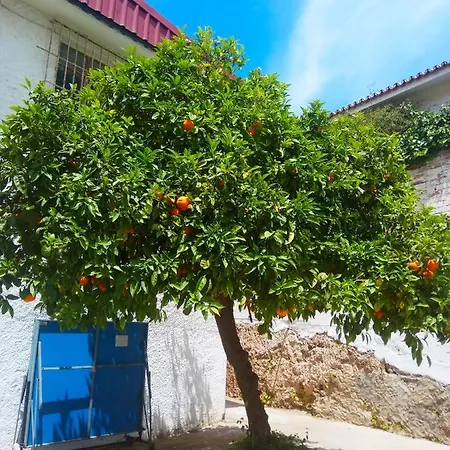 Mediterraneo Carihuela - * توريمولينوس