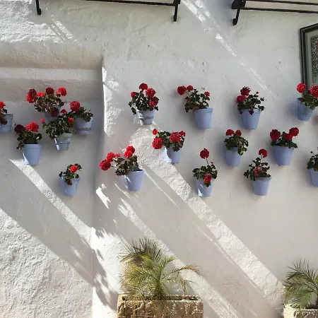 Mediterraneo Carihuela - *