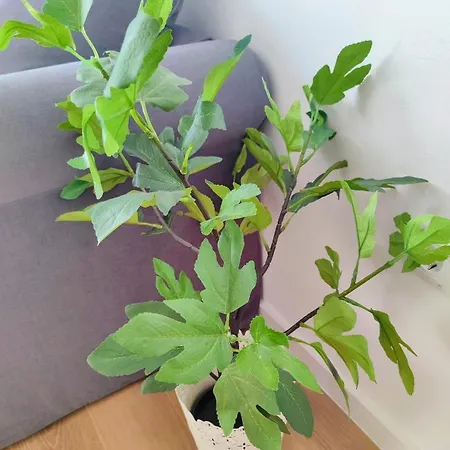 Mediterraneo Carihuela - Apartamento Torremolinos