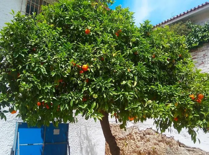 Mediterraneo Carihuela - * Торремолинос